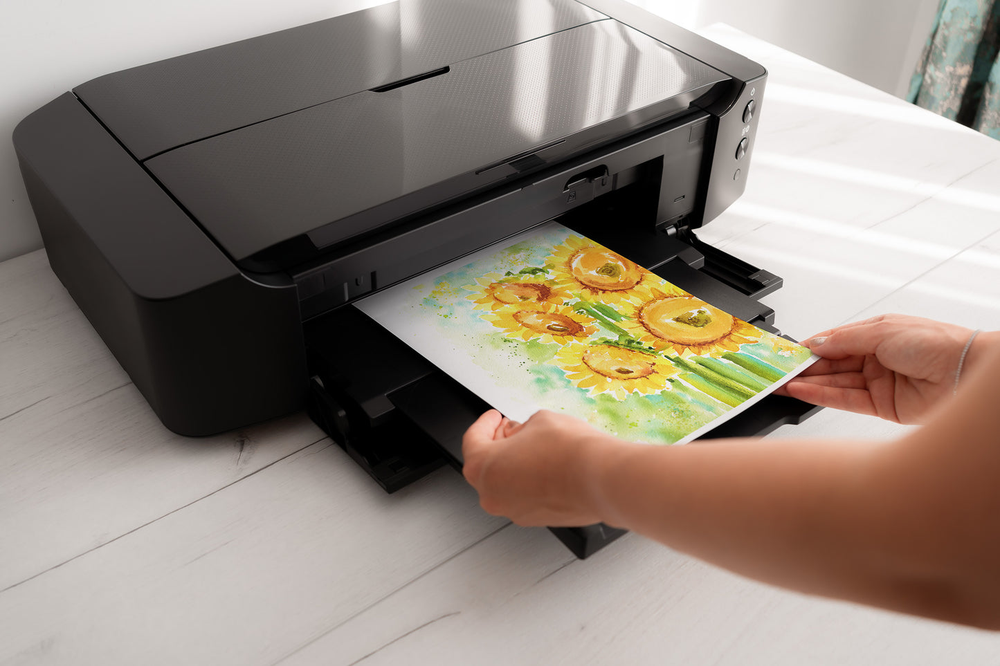 Sunlit Blooms Print