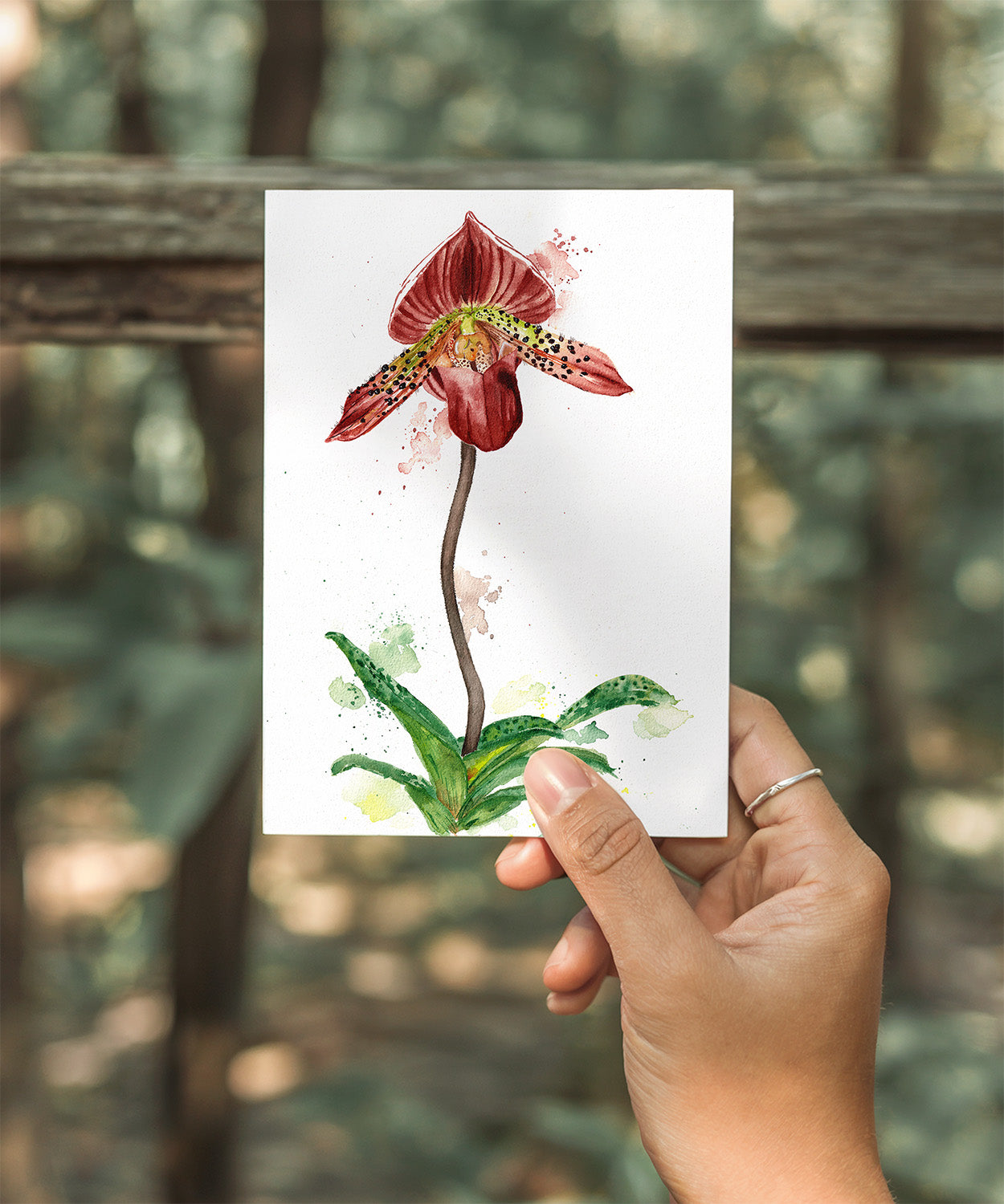 Slipper Orchid Watercolor Print