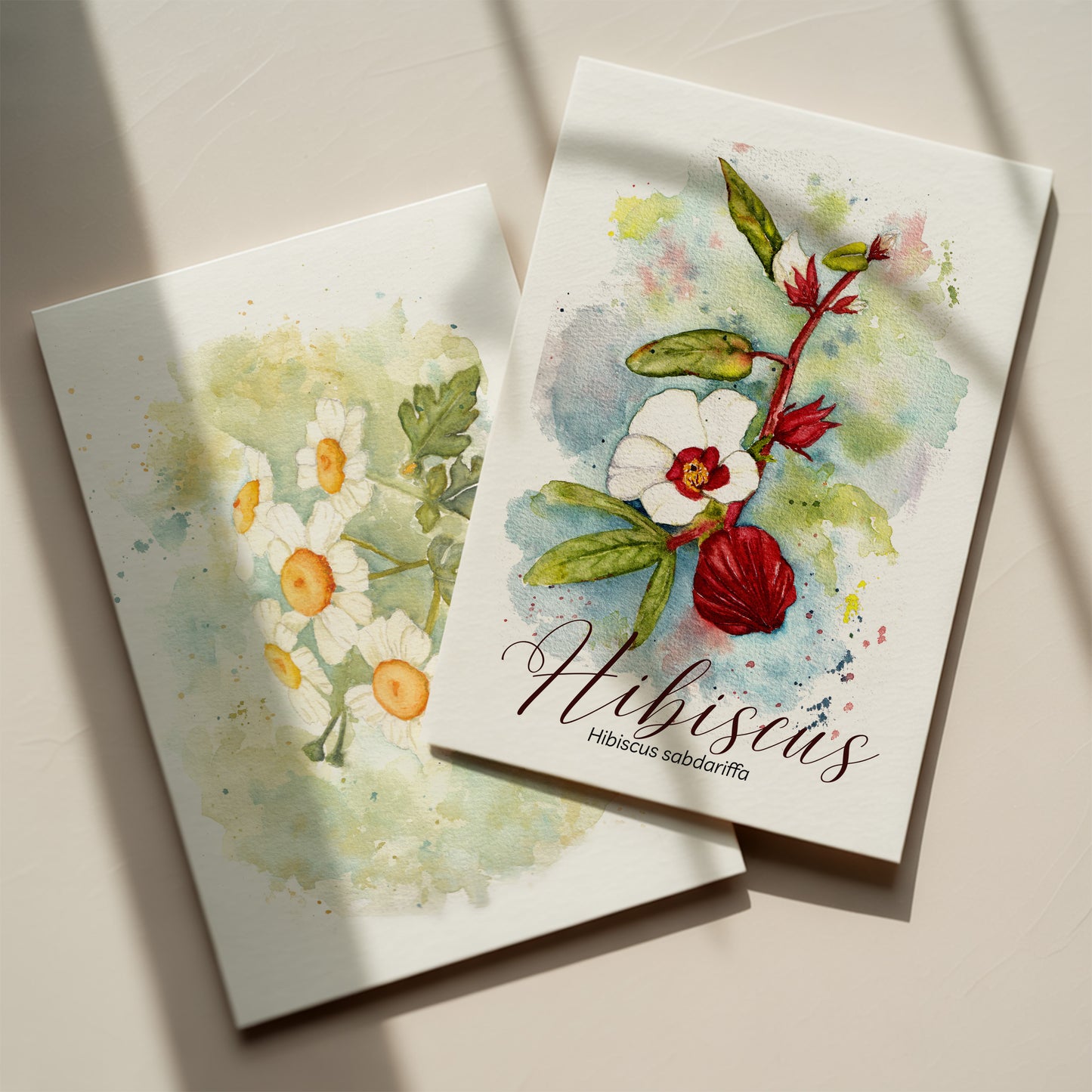 Elderberry Botanical Print