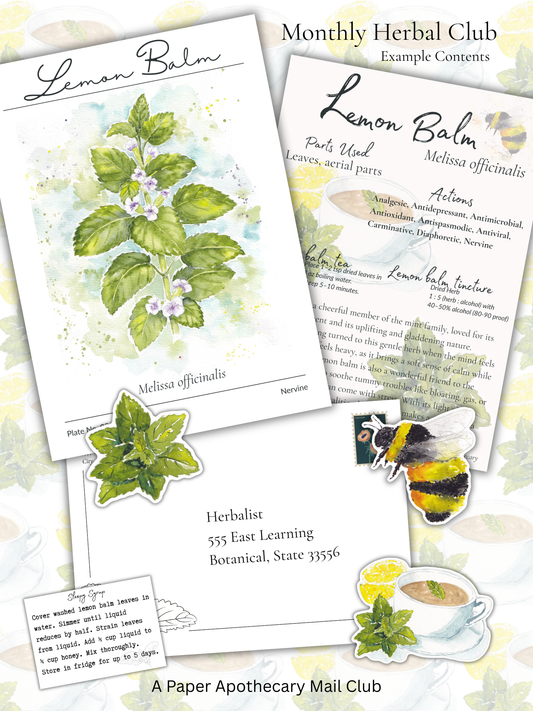 Botanical collage featuring a lemon balm watercolor print, herbal monograph page, and apothecary-style extras like stickers, a recipe card, and a faux mailing envelope in soft green and yellow tones.