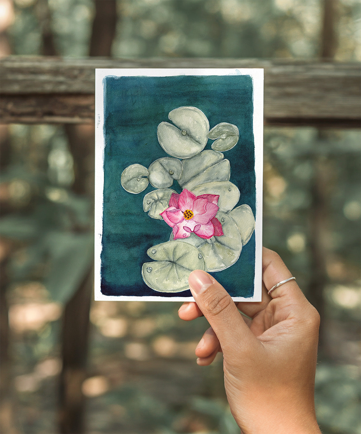 Resting Petal Print