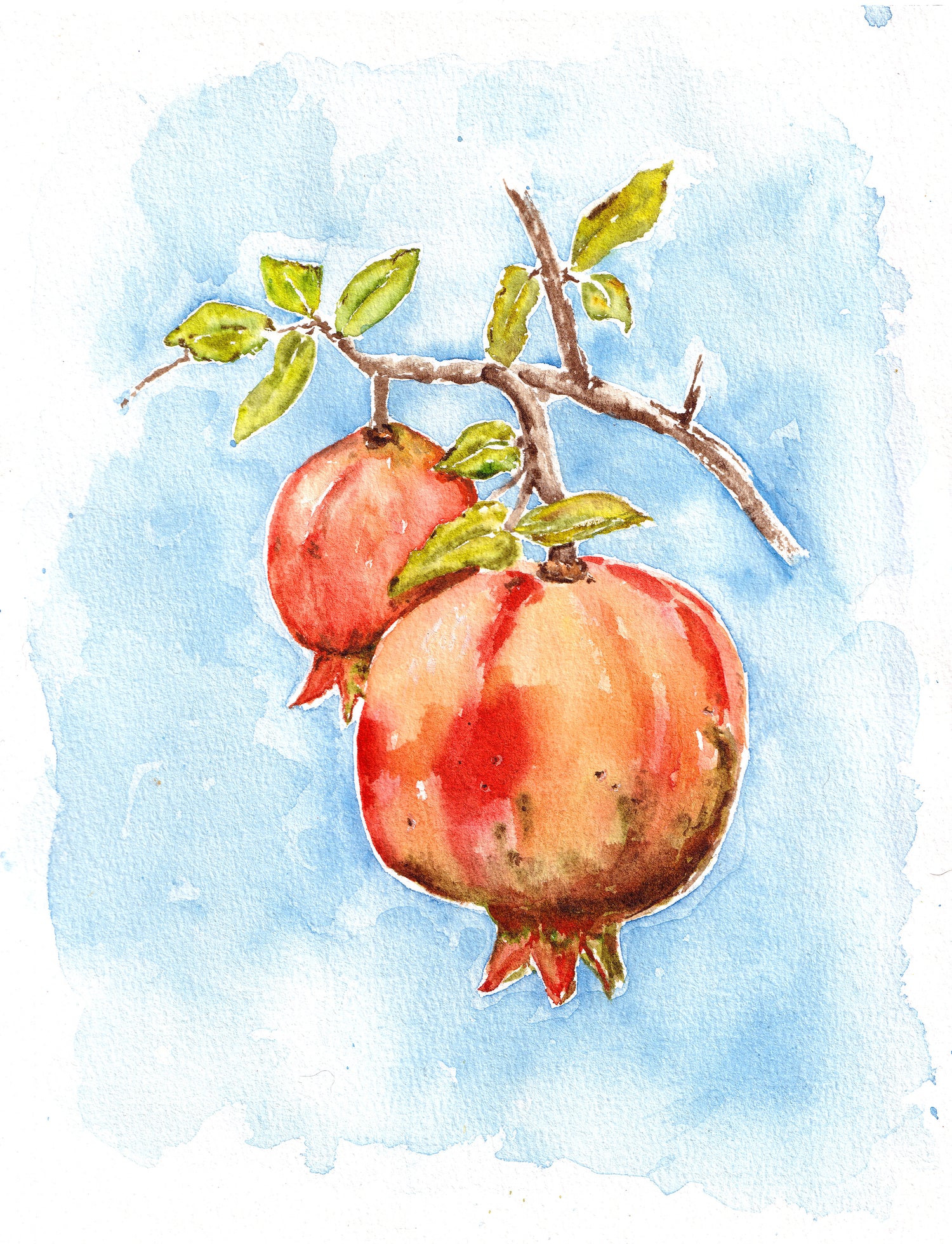 Watercolor painting of pomegranates on a branch with a light blue background