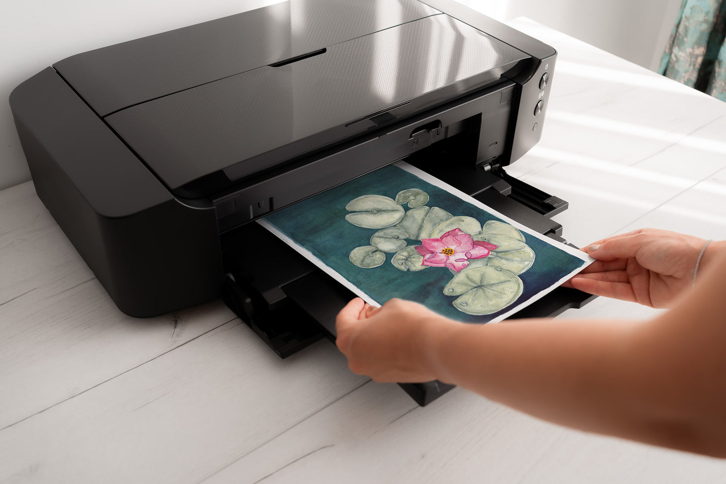 Resting Petal Print
