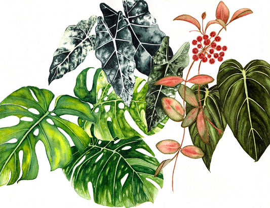 Wild Green Print