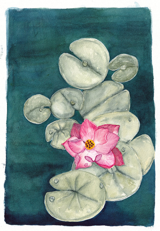Resting Petal Print