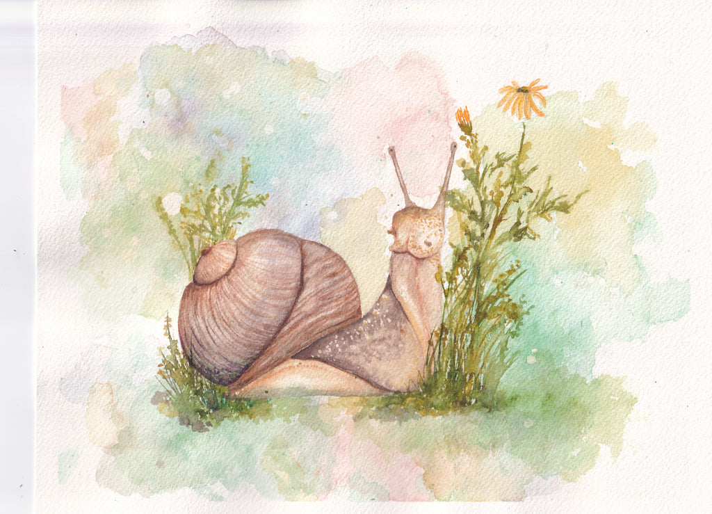 Snail Watercolor Print