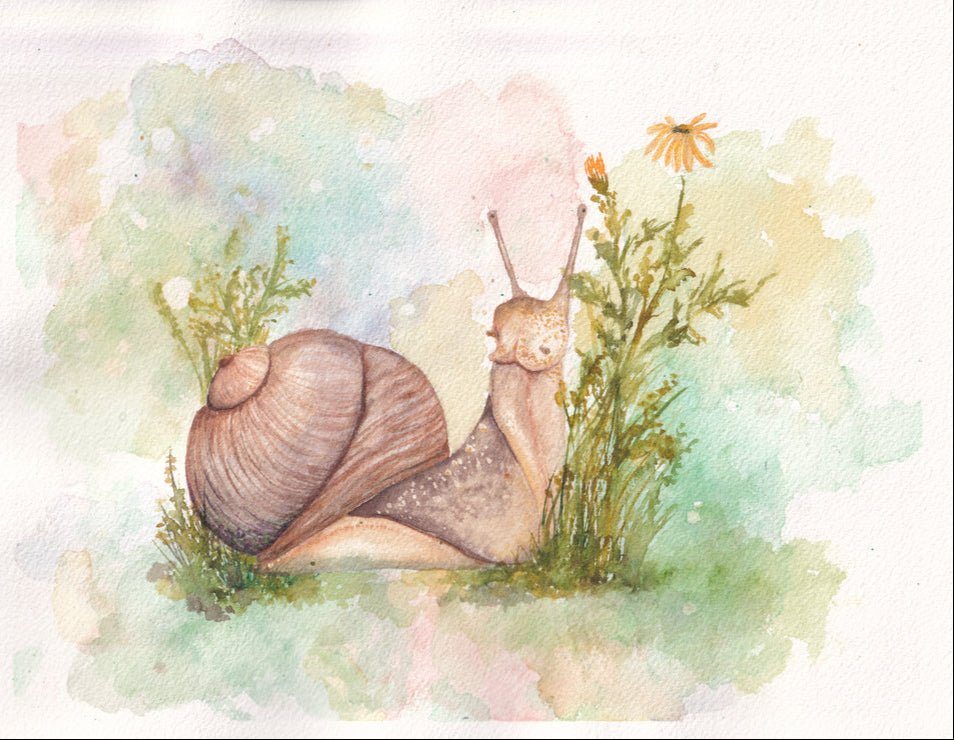 Spring Snail